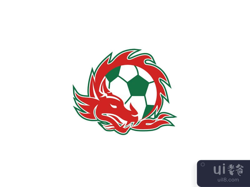 Welsh Dragon Soccer Ball 
