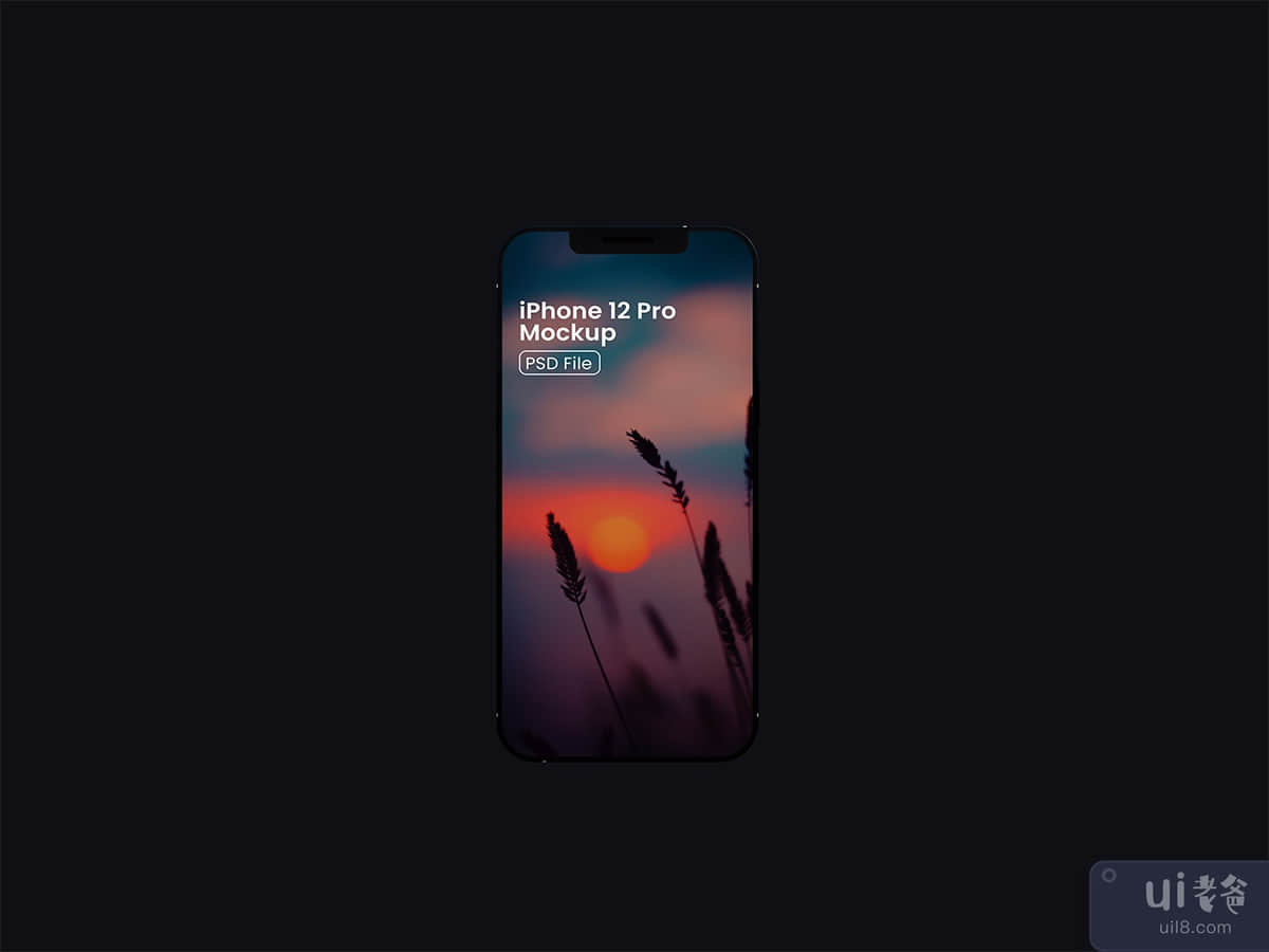 iPhone Mockups
