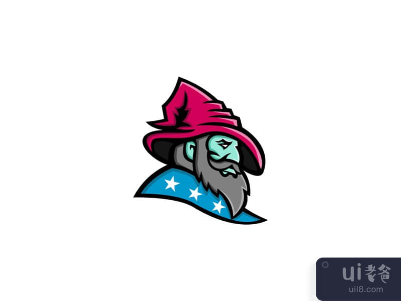 Wizard With Stars Mascot