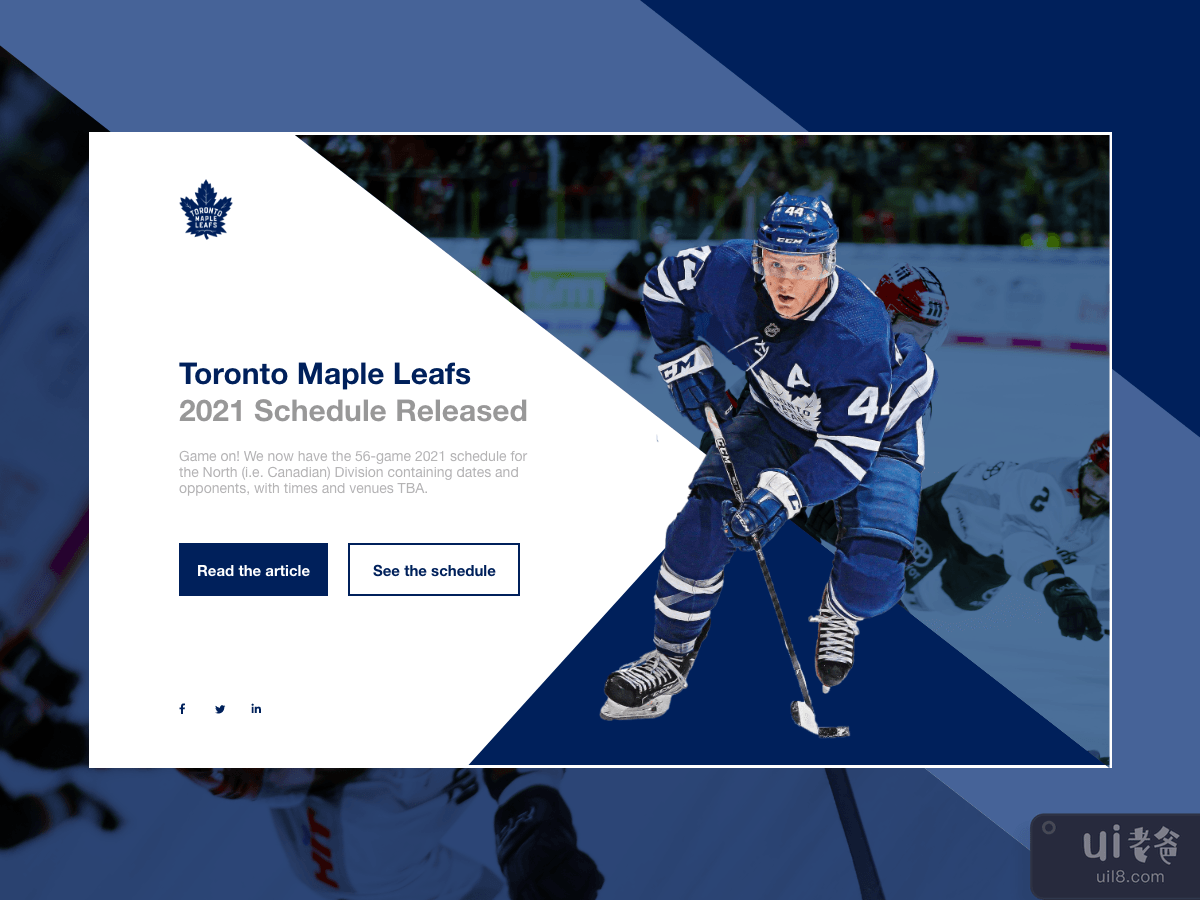 Website Header Hockey