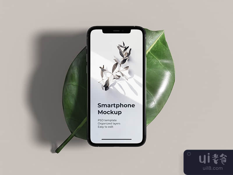 iPhone 11 Pro mockup