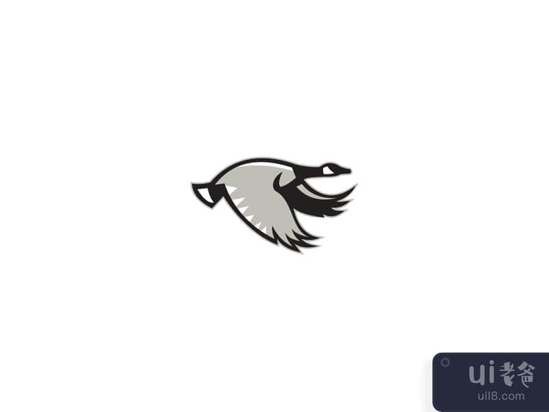 加拿大鹅飞行复古