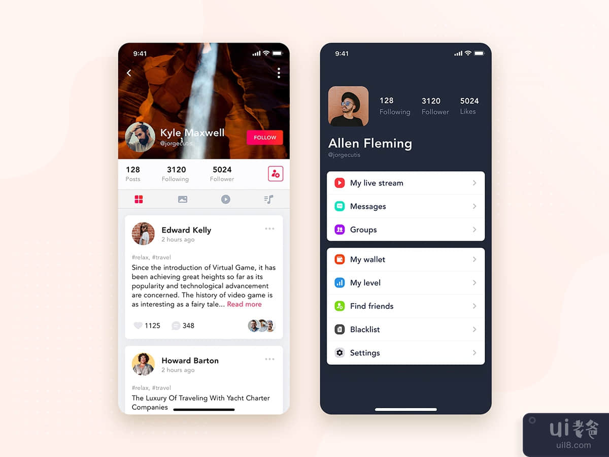User Profile mobile interface concept
