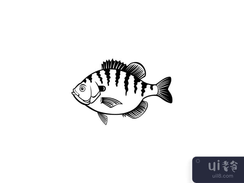 Bluegill Bream Brim Sunny or Copper Nose Fish Side View Retro Black and White