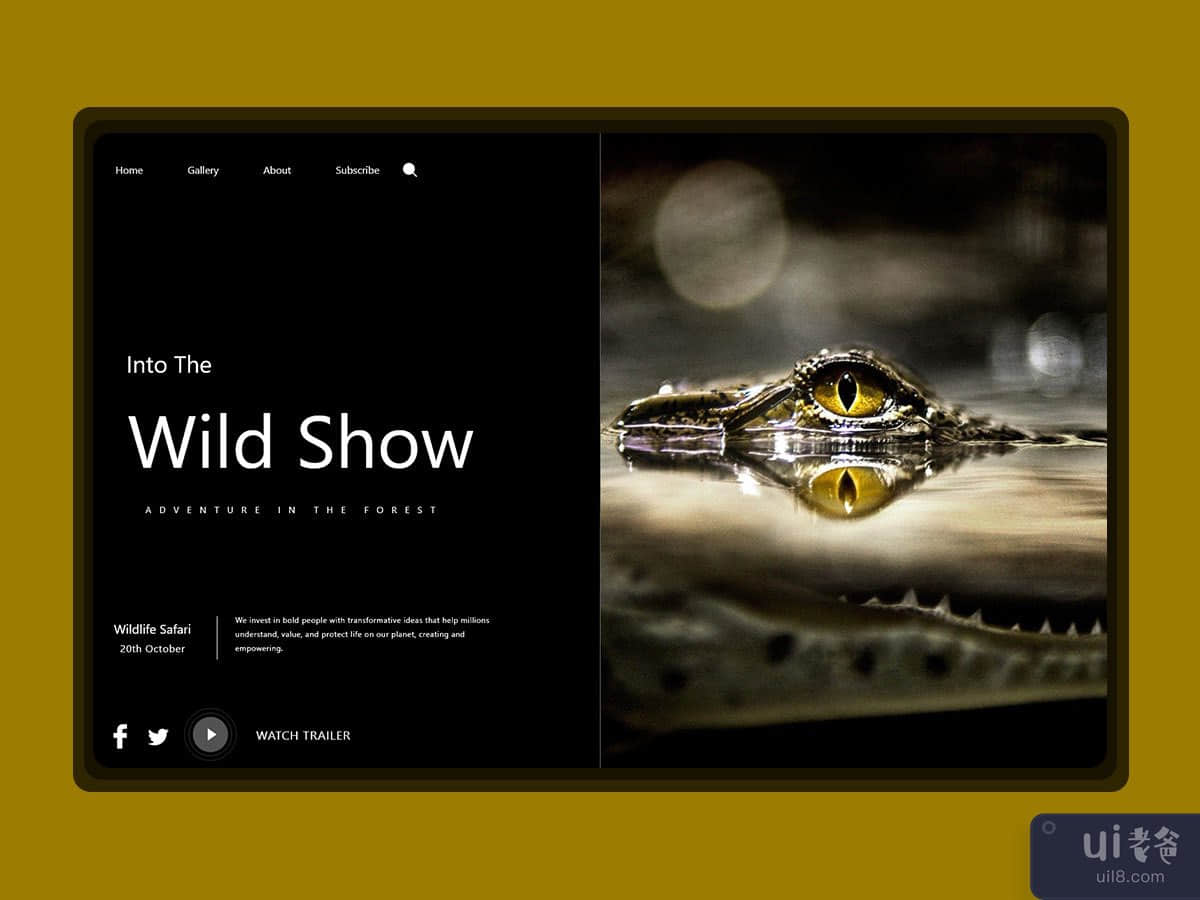 crocodile Web Landing