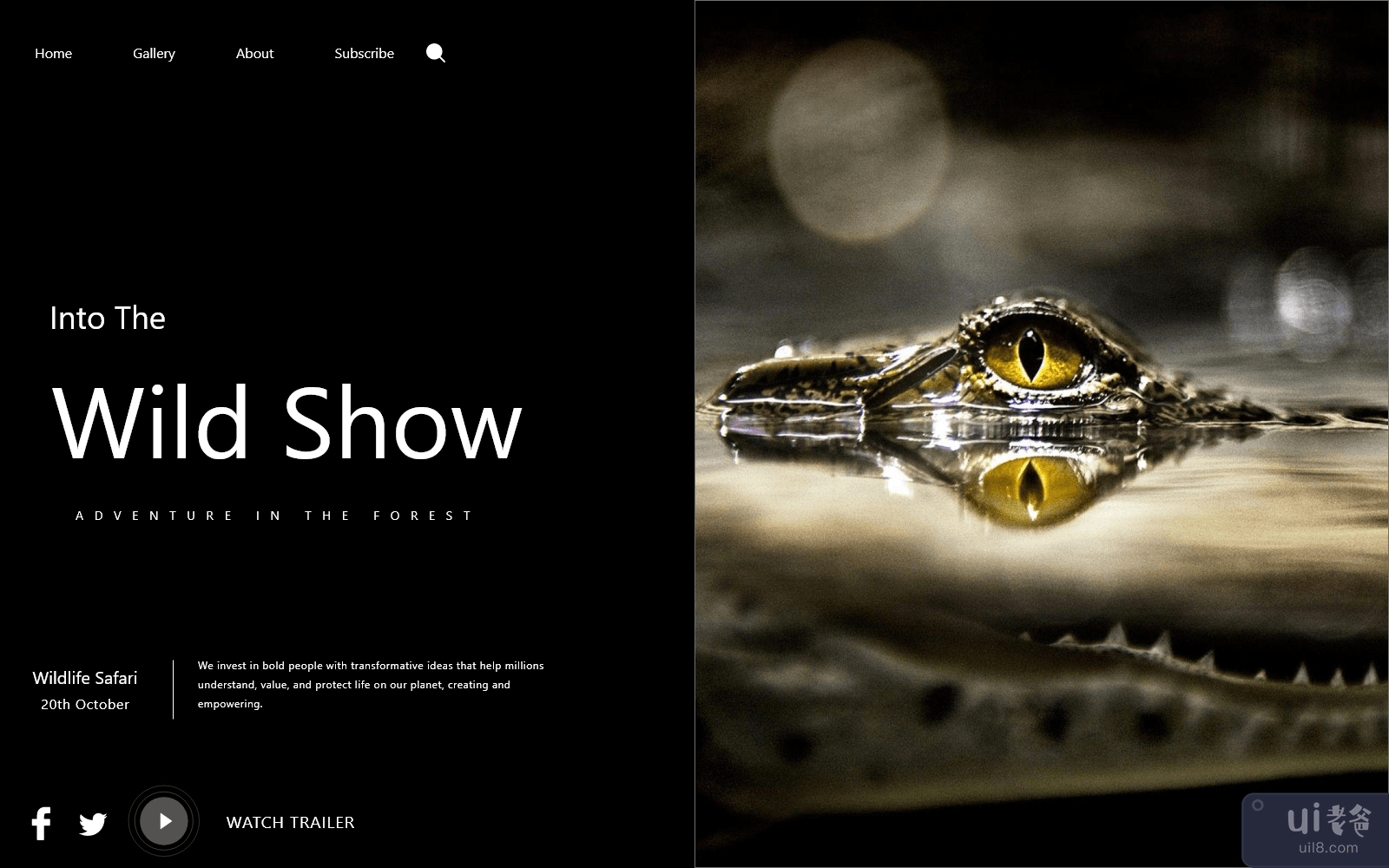 鳄鱼网登陆(crocodile Web Landing)插图2