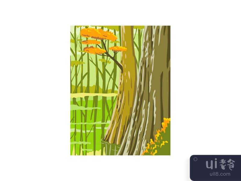 Congaree National Park in Columbia South Carolina WPA Poster Art